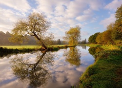 Anglia, Rzeka Wey, Drzewa, Odbicie