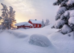 Drzewa obok domu zasypane śniegiem