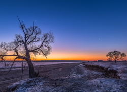 Drzewa obok polnej drogi z widokiem na zimowy zachód słońca