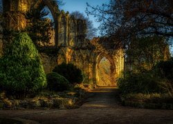 Mury, Katedra, York Minster, Brama, Drzewa, York, North Yorkshire, Anglia, HDR