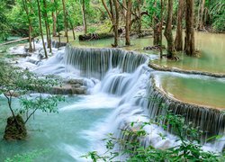Drzewa przy wodospadzie Huai Mae Khamin w Parku Narodowym Khuean Srinagarindra w Tajlandii
