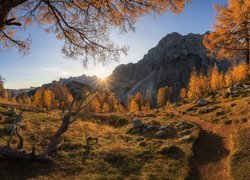 Góry, Alpy Julijskie, Szczyt Slemenova Spica, Jesień, Drzewa, Ścieżka, Słowenia