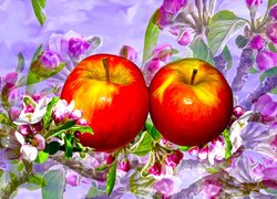 Jabłka, Kwiaty jabłoni, Grafika