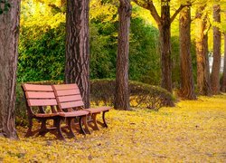 Dwie ławeczki w jesiennym parku