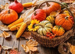 Jesień, Koszyk, Dynie, Kukurydza, Kasztany, Liście, Deski