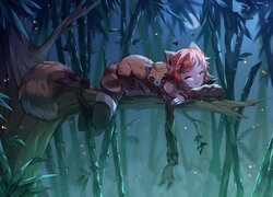 Dziewczyna kot śpiąca na gałęzi bambusa