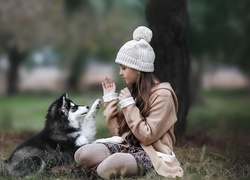 Dziewczynka bawiąca się ze szczeniakiem rasy husky na spacerze