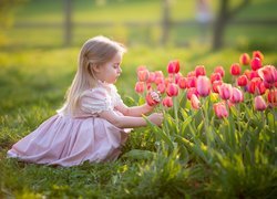 Dziewczynka obok tulipanów