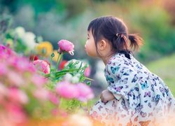 Dziewczynka wśród kolorowych kwiatów