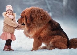 Dziewczynka, Pies, Mastif tybetański, Zima, Śnieg