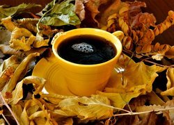 Filiżanka kawy w jesiennych liściach