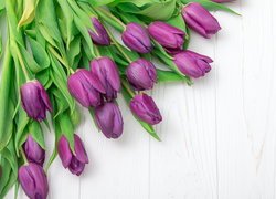 Fioletowe, Kwiaty, Tulipany, Deski