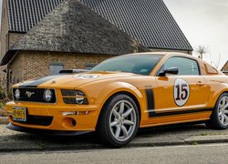 Ford Mustang 302, Saleen