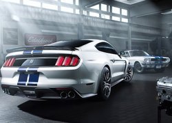 Ford Mustang Shelby GT350, Tył