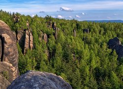 Drzewa, Skały, Formacja Skalni Divadlo, Góry, Broumovske steny, Czechy