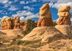Formacje skalne, Devils Garden, Skały, Rośliny, Krzewy, Park Narodowy Arches, Utah, Stany Zjednoczone