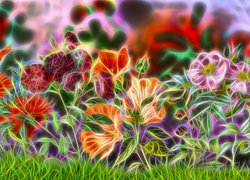 Różnobarwne, Kwiaty, Fractalius