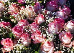 Kwiaty, Róże, Rozwinięte, Różowe, Gipsówka, Bukiet