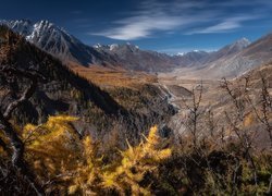 Górska dolina jesienią