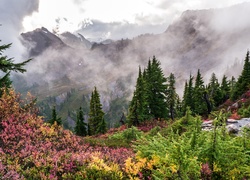 Górska polana usłna kwiatami z widokiem na zamglone góry