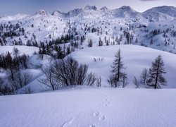 Górski krajobraz zimą