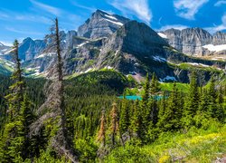 Park Narodowy Glacier, Montana, Stany Zjednoczone, Drzewa, Góry, Jezioro, Rośliny