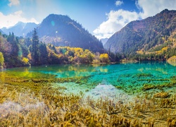 Górskie jezioro wśród roślinności