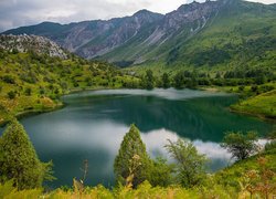 Góry, Lasy, Drzewa, Jezioro Sary Chelek, Roślinność, Prowincja Jalal Abad, Kirgistan