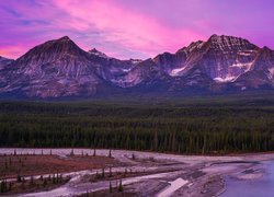 Góry, Canadian Rockies, Las, Różowe, Niebo, Park Narodowy Jasper, Rzeka, Kanada