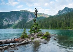 Góry, Jezioro, Mowich Lake, Drzewa, Park Narodowy Mount Rainier, Stan Waszyngton, Stany Zjednoczone