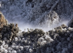 Góry i las spowite zimową mgłą