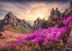 Góry Jujaksan i kwitnące różaneczniki