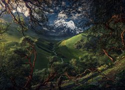 Drzewa, Góry, Kordyliera Biała, Rzeka, Dolina, Park Narodowy Huascaran, Peru
