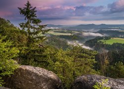 Park Narodowy Saskiej Szwajcarii, Skały, Góry Połabskie, Lasy, Drzewa, Wschód słońca, Niemcy