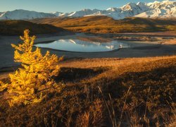 Góry Północnoczujskie i jezioro Dzhangyskol