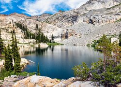 Góry, Sierra Nevada Mountains, Jezioro, Lyons Lake, Drzewa, Sosny, Kalifornia, Stany Zjednoczone