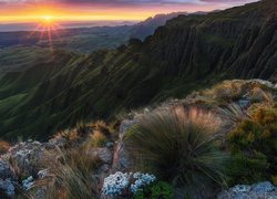Góry Smocze, Wschód słońca, Skały, Roślinność, Republika Południowej Afryki