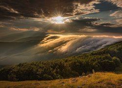 Góry, Stara Płanina, Drzewa, Mgła, Chmury, Promienie słońca, Gabrowo, Bułgaria