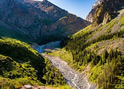 Góry Tienszan, Skała, Potok, Kamienie, Drzewa, Roślinność, Słoneczny, Dzień, Park Narodowy Ala Archa, Kirgistan