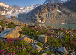 Góry, Jezioro Wedgemount, Kwiaty, Kamienie, Park prowincjonalny Garibaldi, Kolumbia Brytyjska, Kanada