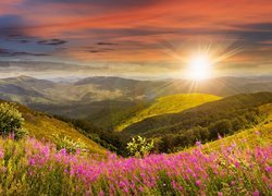 Góry, Doliny, Kwiaty, Roślinność, Promienie słońca