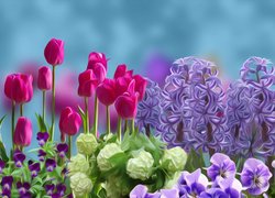 Kwiaty, Tulipany, Bratki, Hiacynty, Grafika