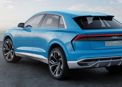 Niebieskie, Audi Q8