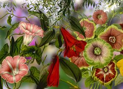 Grafika kolorowych kwiatów