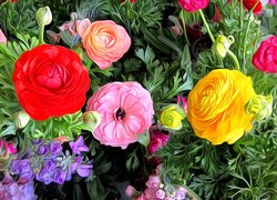 Kolorowe, Kwiaty, Jaskier, Róża, Grafika
