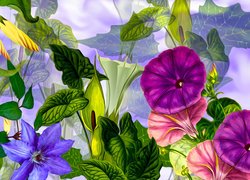 Grafika z kwiatami powoju