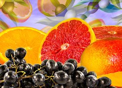 Owoce, Grejpfrut, Pomarańcz, Winogrona, Grafika