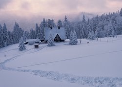 Polska, Góry, Beskidy, Hala Rycerzowa, Zima, Dom, Śnieg, Drzewa, Ślady, Mgła