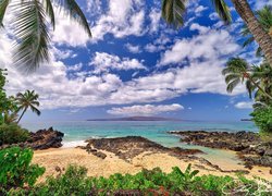Hawajska wyspa Maui