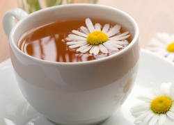 Herbata, Rumianek, Kwiaty, Filiżanka